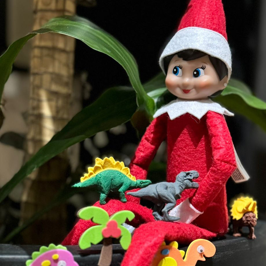 1411 NUEVO The Elf Hut Paquete Trouble Bundle 30 TRAVESURAS EDICIÓN LIMITADA