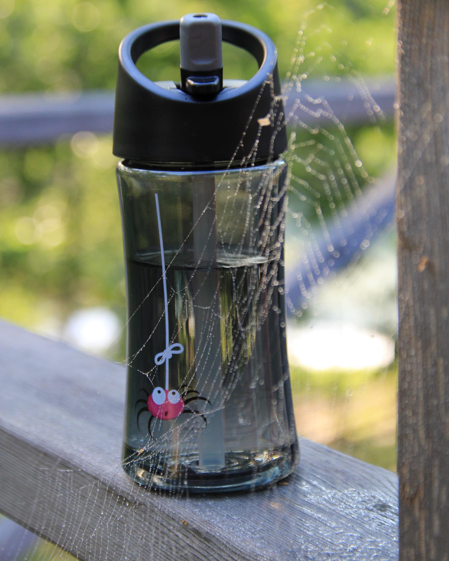 Botella Tritán C&O 300 ml