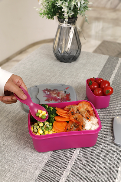 Lunchbox Wisdom Nice Verde