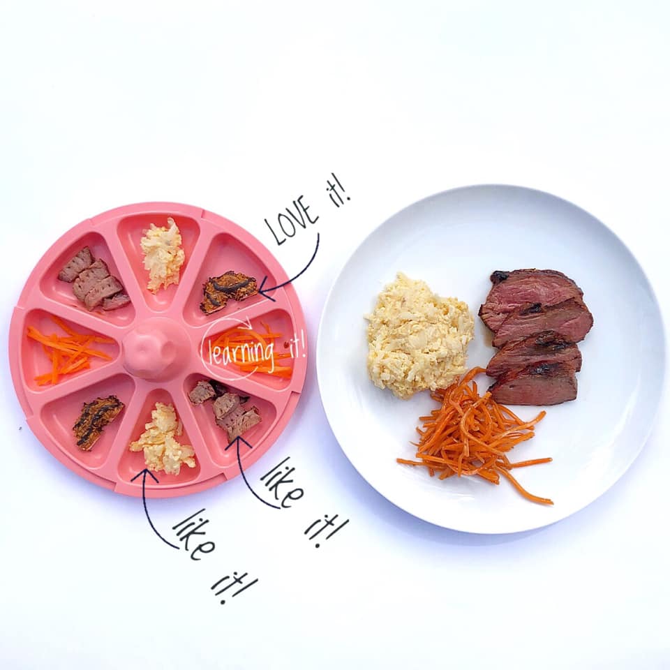 Plato 8thePlate Giratorio 8 Divisiones Kids