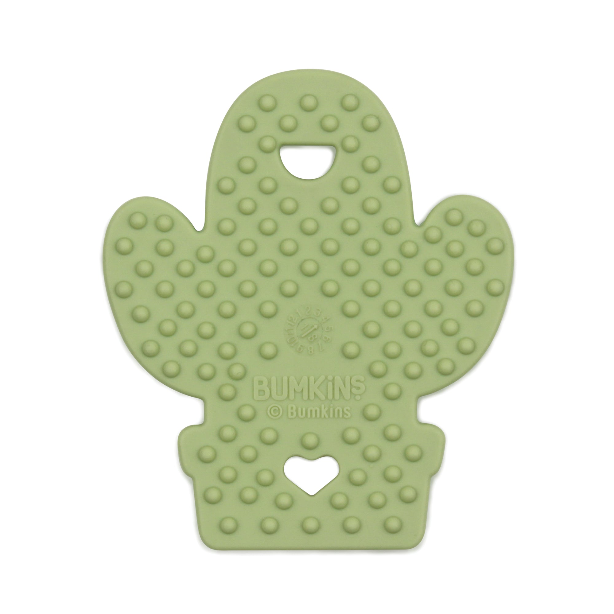 Mordedera de silicon: CACTUS