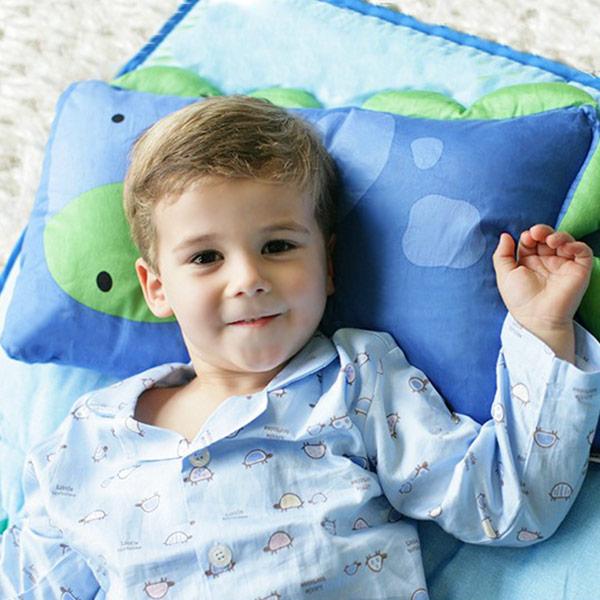 Funda de Almohada Toddler Dinosaurio "Dylan"