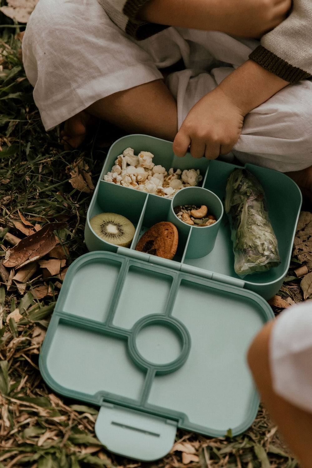 TURTLE ECO BENTO BOX