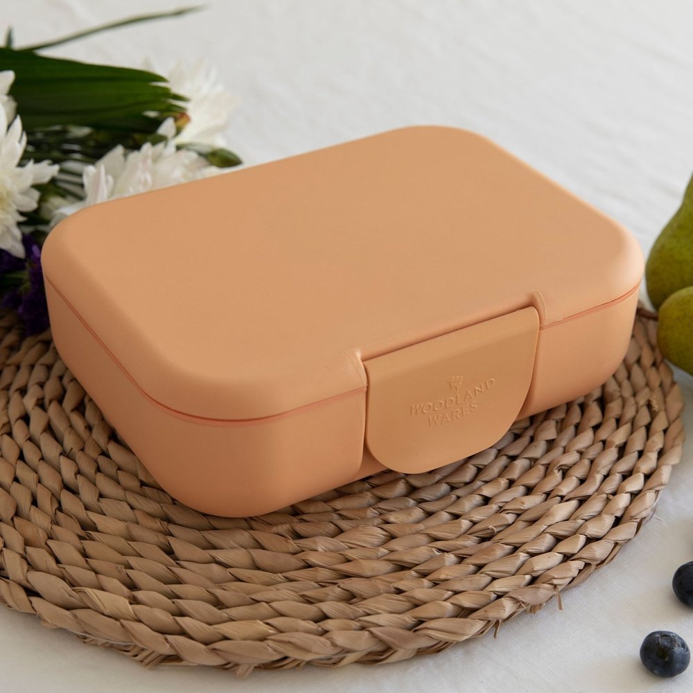 MINIMALIST ECO BENTO BOX