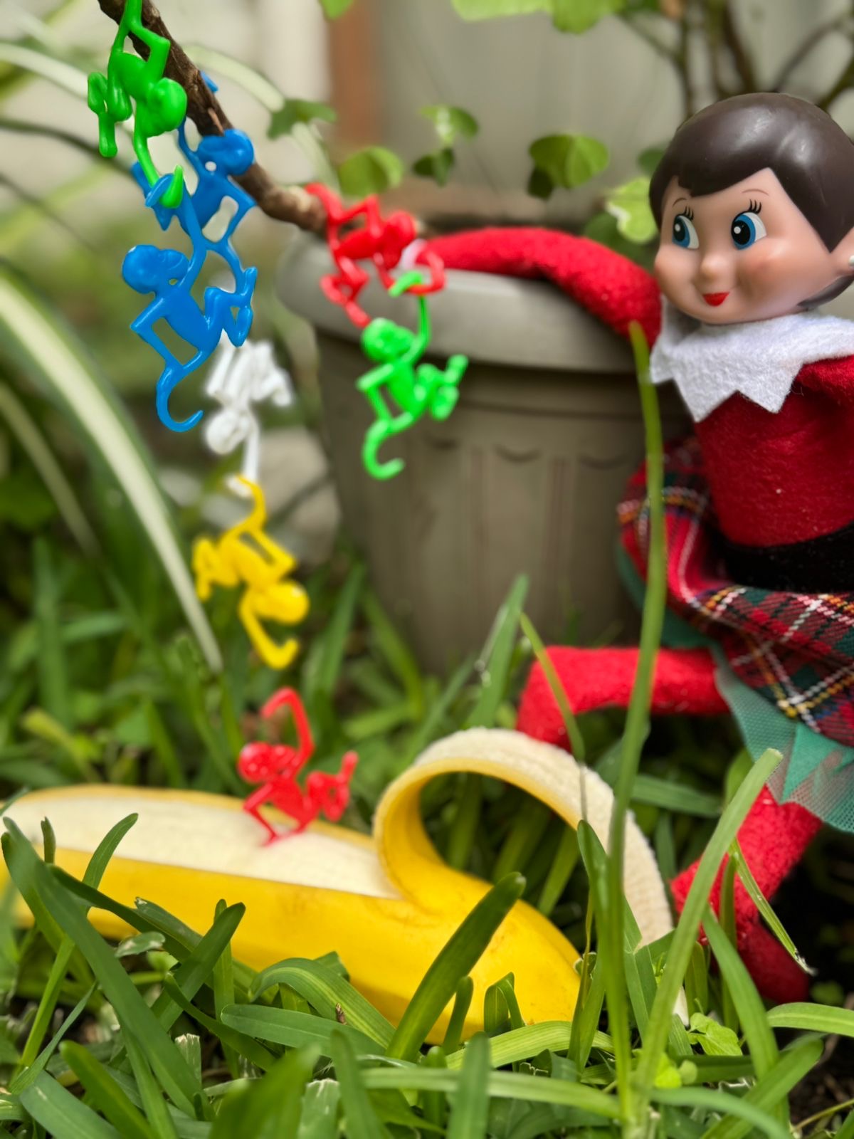 1411 TODAS The Elf Hut Paquete Trouble Bundle 72 TRAVESURAS EDICIÓN LIMITADA