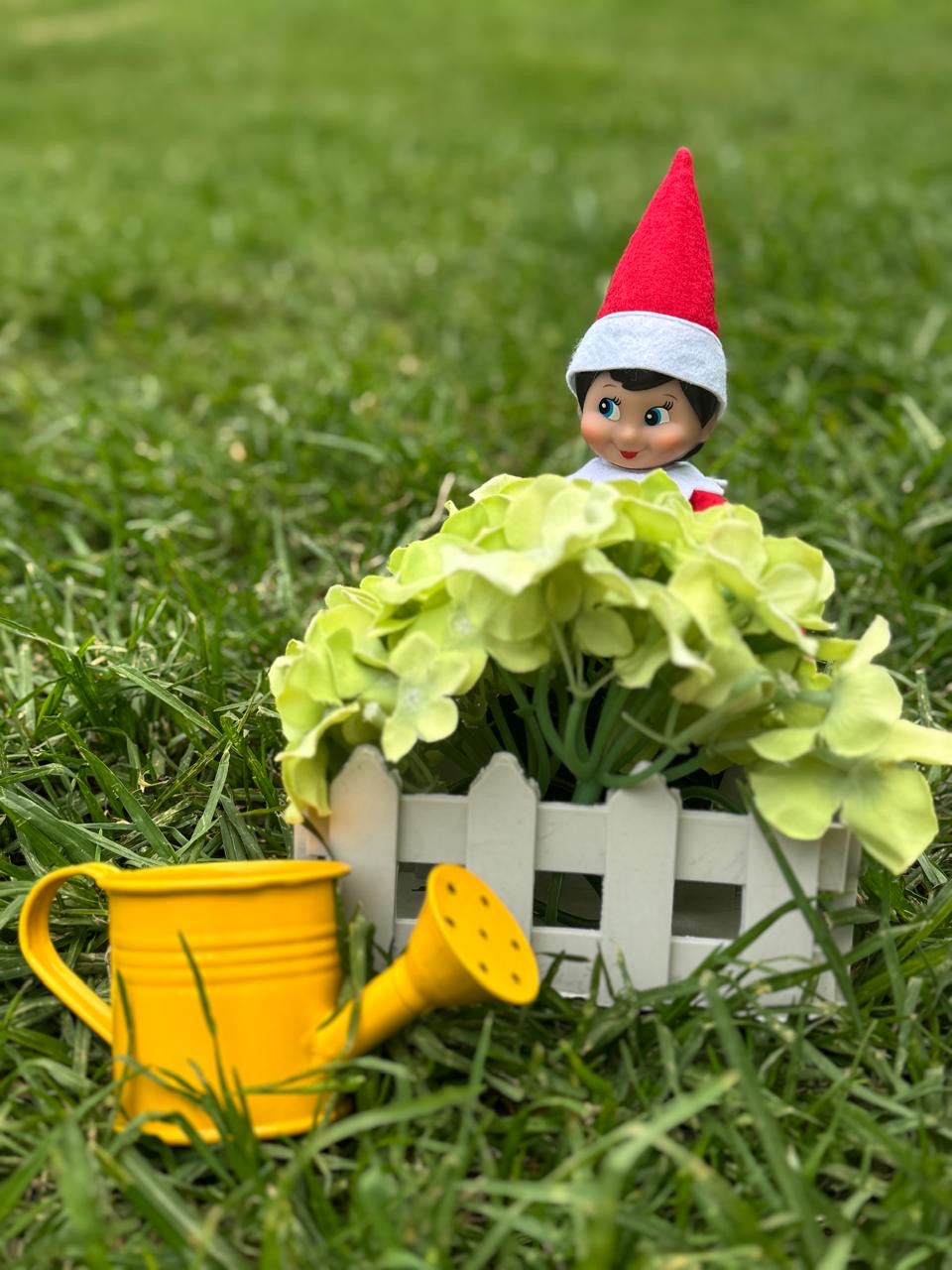 NUEVO The Elf Hut Paquete Trouble Bundle 25 + BONUS TRAVESURAS GIRLY