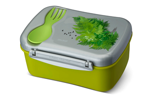 Lunchbox Wisdom Nice Verde
