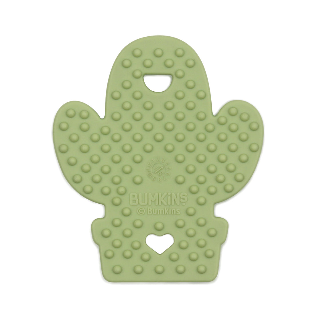 Mordedera de silicon: CACTUS