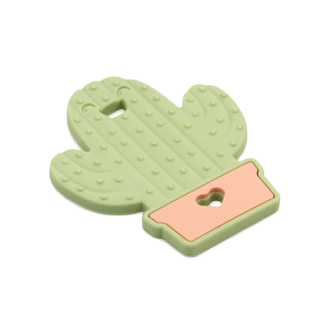Mordedera de silicon: CACTUS